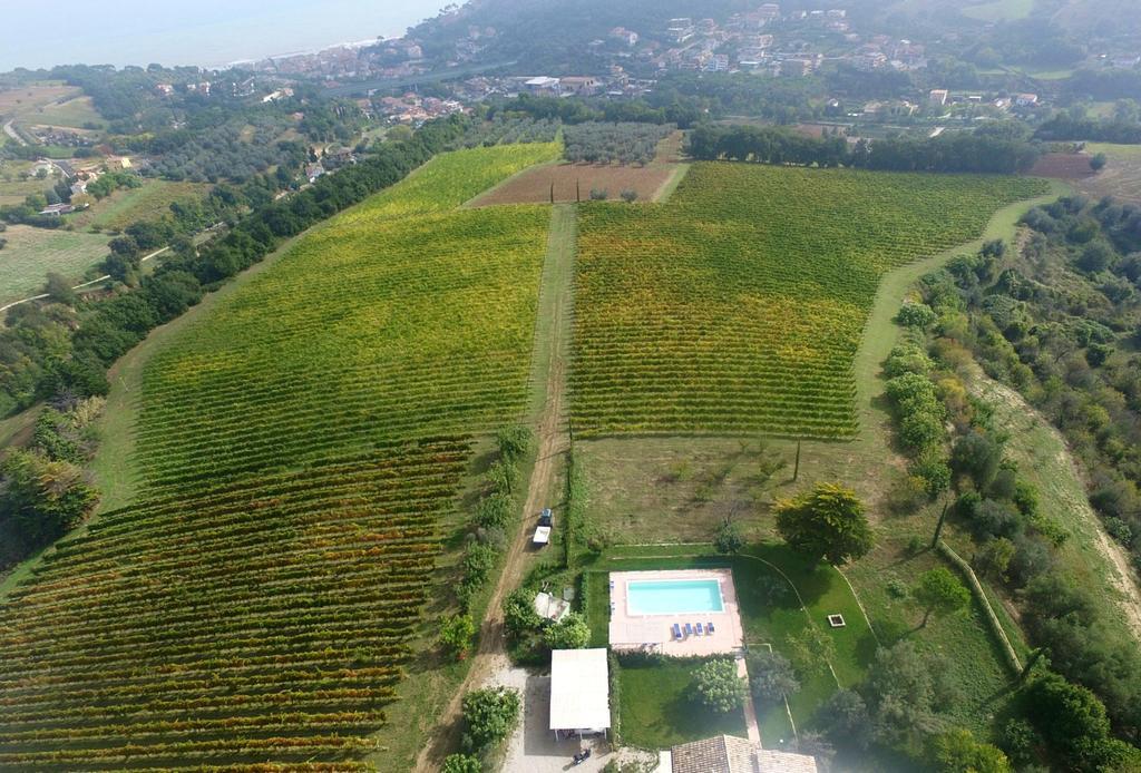 Villa Marchetti Cupra Marittima Exteriör bild